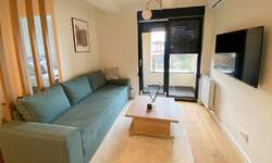 Dvosoban stan, Beograd, Crveni Krst, izdavanje, 35m2, 700e, id1436457