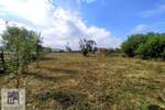 Plac, Ub, Trlić, prodaja, 0m2, 18000e, id1436483