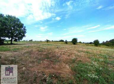 Plac, Ub, Trlić, prodaja, 0m2, 4000e, id1436484
