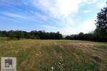 Plac, Ub, Trlić, prodaja, 0m2, 4000e, id1436484