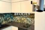 Poslovni prostor / Lokal, Novi Sad, Centar, izdavanje, 54m2, 1000e, id1436544