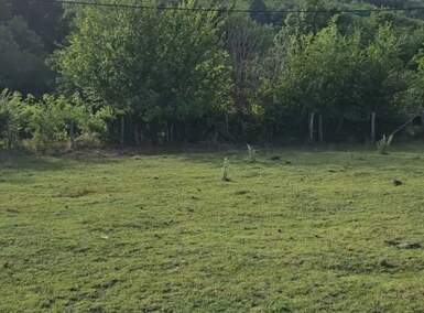Plac, Beograd, Kosmaj, prodaja, 1270m2, 17000e, id1436906