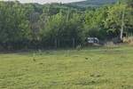 Plac, Beograd, Kosmaj, prodaja, 1270m2, 17000e, id1436906