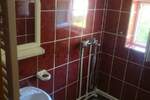 Garsonjera, Niš, Pravni fakultet, izdavanje, 25m2, 260e, id1437421