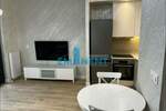 Jednosoban stan, Beograd, Beograd Na Vodi, izdavanje, 35m2, 1000e, id963363