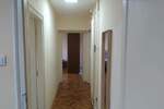 Dvosoban stan, Beograd, Dorcol, izdavanje, 45m2, 800e, id1437921
