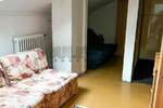 Jednoiposoban stan, Niš, Bulevar Nemanjića, izdavanje, 41m2, 250e, id1156981