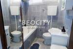 Dvosoban stan, Beograd, Hala Pionir, izdavanje, 45m2, 580e, id1438560