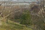 Plac, Stara Pazova, prodaja, 5200m2, 110000e, id1438582
