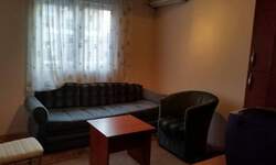 Jednoiposoban stan, Novi Sad, Centar, izdavanje, 30m2, 350e, id217460