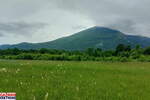 Plac, Boljevac, Mirovo, prodaja, 0m2, 10750e, id1389766