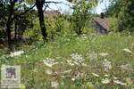 Kuca, Beograd, Mala Moštanica, prodaja, 118m2, 87000e, id1440089