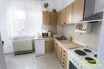 Dvosoban stan, Beograd, Hala Pionir, izdavanje, 45m2, 580e, id1440091