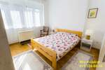 Dvosoban stan, Beograd, Hala Pionir, izdavanje, 45m2, 580e, id1440091