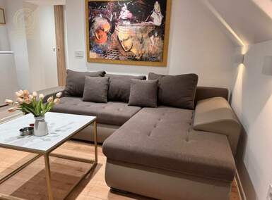 Jednosoban stan, Beograd, Slavujev Venac, izdavanje, 21m2, 450e, id1430465