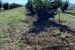 Plac, Niš, prodaja, 31352m2, 120000e, id1440652