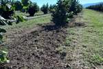 Plac, Niš, prodaja, 31352m2, 120000e, id1440652