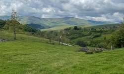 Plac, Zlatibor, prodaja, 400m2, 19000e, id1440653