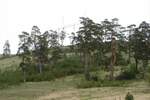 Plac, Zlatibor, prodaja, 7441m2, 285000e, id1441210