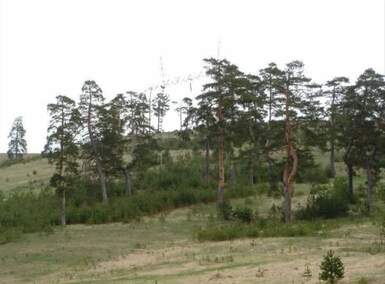 Plac, Zlatibor, prodaja, 7441m2, 285000e, id1441210