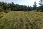 Plac, Zlatibor, prodaja, 7441m2, 285000e, id1441210