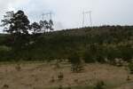 Plac, Zlatibor, prodaja, 7441m2, 285000e, id1441210