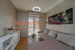 Jednoiposoban stan, Beograd, Gornji Grad, izdavanje, 38m2, 550e, id1441731