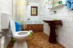 Kuca, Aleksinac, Veliki Drenovac, prodaja, 248m2, 78500e, id1441735
