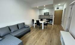 Jednosoban stan, Jagodina, izdavanje, 40m2, 280e, id1239790