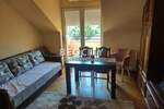 Jednosoban stan, Novi Sad, Centar, izdavanje, 30m2, 350e, id1441781
