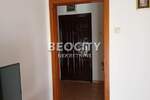Dvosoban stan, Novi Sad, Centar, izdavanje, 43m2, 400e, id1441783