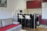 Jednosoban stan, Novi Sad, Podbara, izdavanje, 35m2, 300e, id1441786