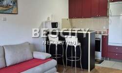 Jednosoban stan, Novi Sad, Podbara, izdavanje, 35m2, 300e, id1441786