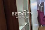 Jednosoban stan, Novi Sad, Podbara, izdavanje, 35m2, 300e, id1441786