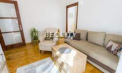 Dvosoban stan, Beograd, Hala Pionir, izdavanje, 45m2, 580e, id1441999