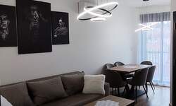 Dvosoban stan, Beograd, Živka Davidovića, izdavanje, 40m2, 700e, id1442171