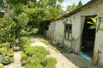 Kuca, Jagodina, prodaja, 20m2, 24000e, id747247