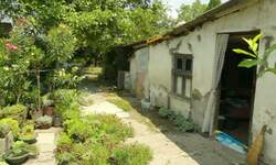 Kuca, Jagodina, prodaja, 20m2, 24000e, id747247