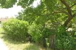Kuca, Jagodina, prodaja, 20m2, 24000e, id747247