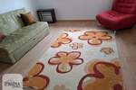 Trosoban stan, Paraćin, prodaja, 60m2, 55000e, id1443347