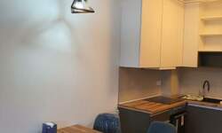 Jednosoban stan, Beograd, Vojvode Stepe, izdavanje, 46m2, 600e, id1443354