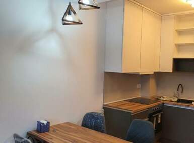 Jednosoban stan, Beograd, Stepa Stepanović, izdavanje, 46m2, 600e, id1443354