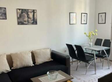 Jednoiposoban stan, Niš, izdavanje, 47m2, 300e, id1328577