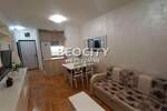 Dvosoban stan, Novi Sad, Novo Naselje, izdavanje, 37m2, 350e, id1443795