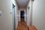 Dvoiposoban stan, Beograd, Šumice, izdavanje, 57m2, 550e, id1443396