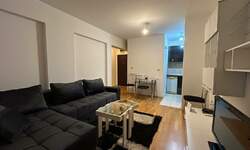 Jednoiposoban stan, Beograd, Olimp, izdavanje, 35m2, 400e, id1443909