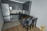 Dvosoban stan, Beograd, Tošin Bunar, izdavanje, 45m2, 850e, id1443948