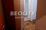 Jednosoban stan, Novi Sad, Grbavica, izdavanje, 27m2, 220e, id1443951