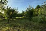 Plac, Beograd, Ovča, prodaja, 0m2, 370000e, id1393371