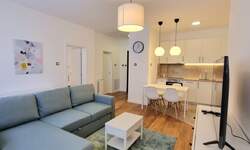Dvosoban stan, Beograd, izdavanje, 45m2, 550e, id1444479